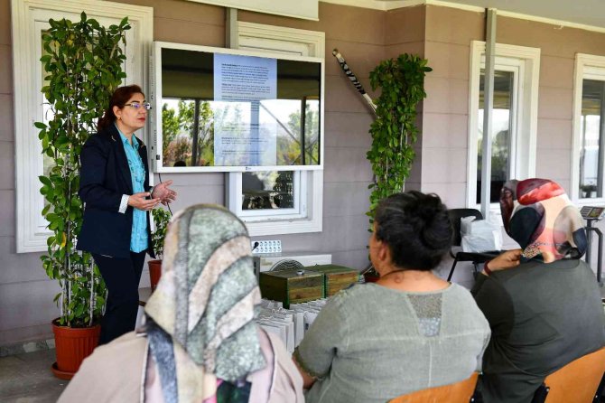 Ankara’da "Seracılık Ve Bahçıvanlık” Eğitimi