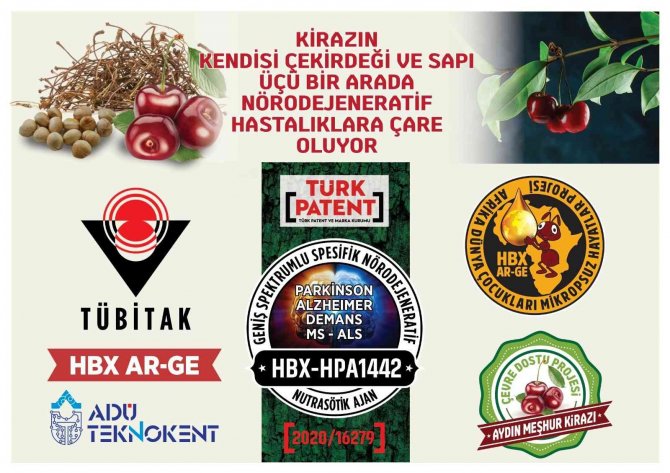 Hbx Ar-ge Kirazı Çekirdeği Ve Sapıyla Birlikte İnceledi, Nörodejenetif Hastalıklarda Kullanılabileceğini Açıkladı
