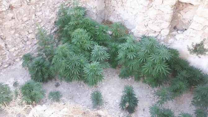Hatay’da Uyuşturucu Operasyonu