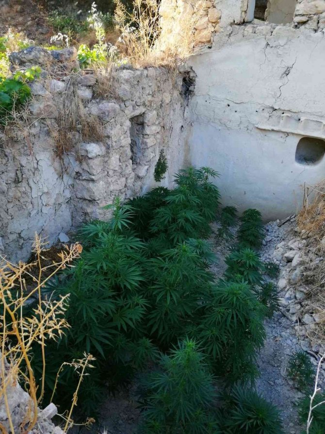 Hatay’da Uyuşturucu Operasyonu