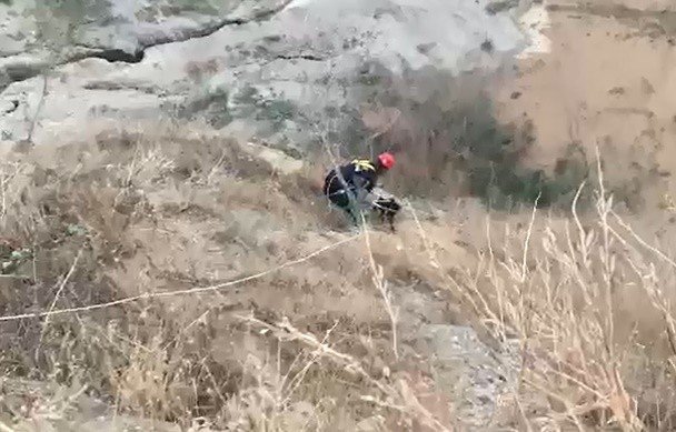 Dağda Mahsur Kalan Köpeğin İmdadına İtfaiye Ekipleri Yetişti