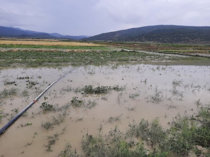 Sağanak Yağış Ve Dolu Tarım Arazilerini Vurdu
