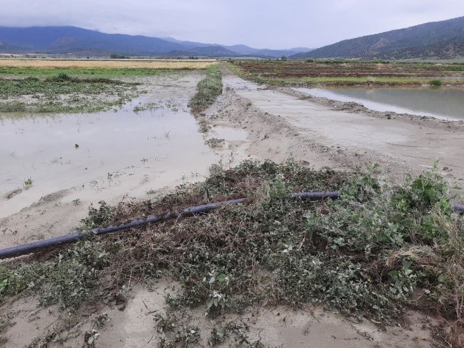 Sağanak Yağış Ve Dolu Tarım Arazilerini Vurdu
