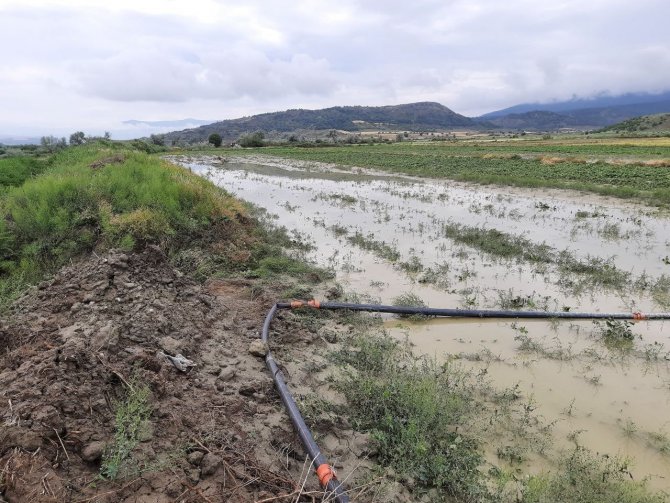 Sağanak Yağış Ve Dolu Tarım Arazilerini Vurdu