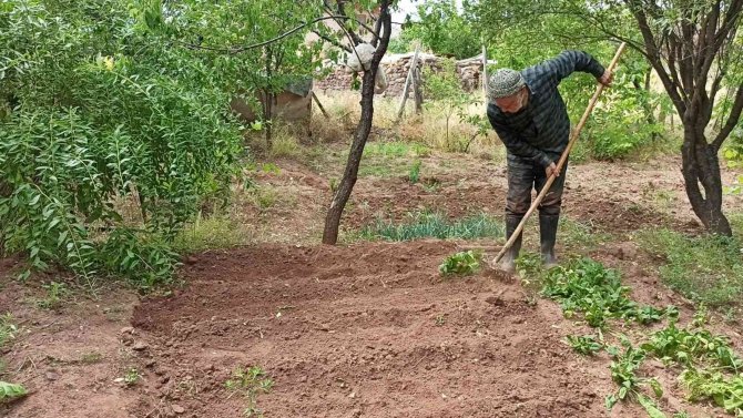 76 Yaşında Arı Gibi Çalışıyor, Gençlere Taş Çıkartıyor