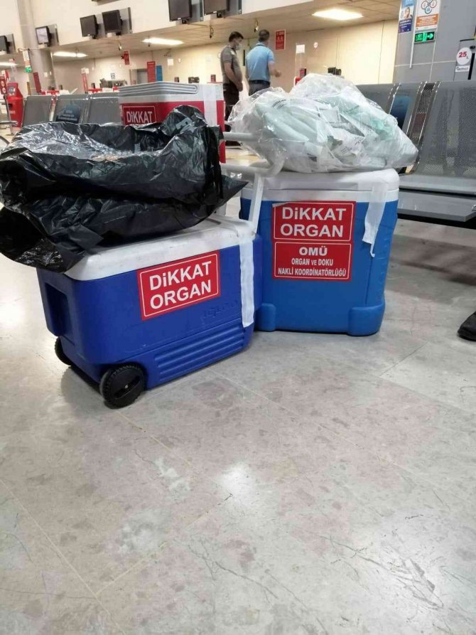 Beyin Ölümü Gerçekleşen Hastanın Organları Yeni Hayatlar İçin Yola Çıktı