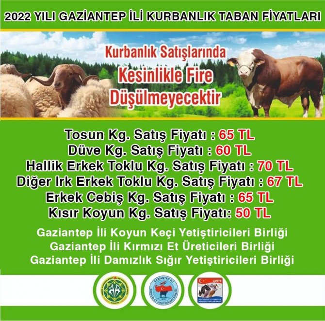 Gaziantep’te Kurbanlık Fiyatları Belli Oldu