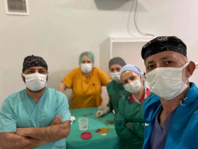 76 Yaşındaki Hastanın Safra Kesesinden Bin 284 Taş Çıktı