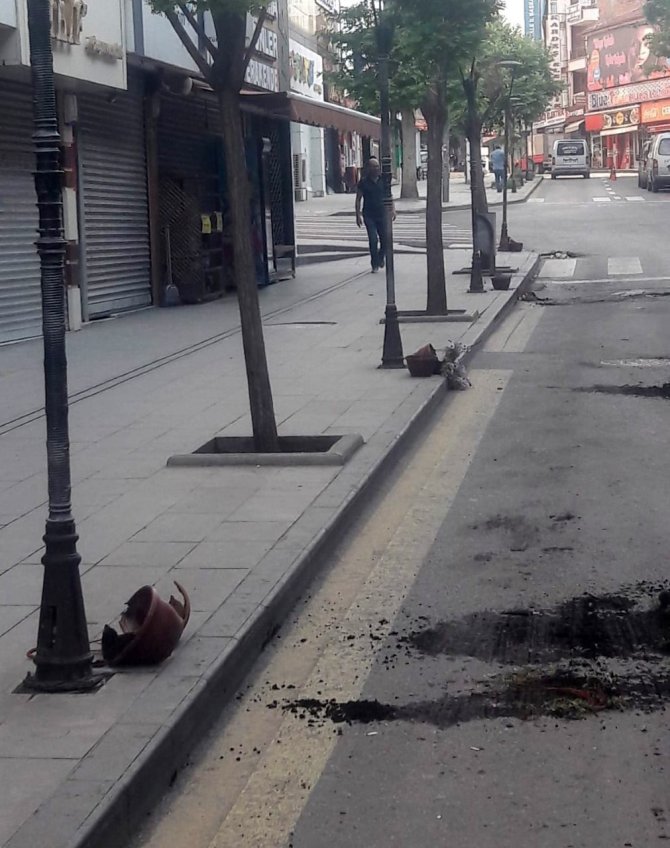 Cadde Üzerindeki Çiçeklere Zarar Veren Şahıs Gözaltına Alındı