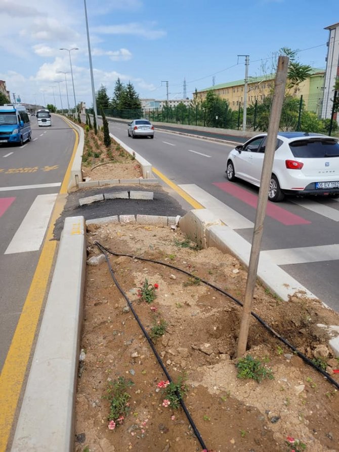 Cadde Üzerindeki Çiçeklere Zarar Veren Şahıs Gözaltına Alındı