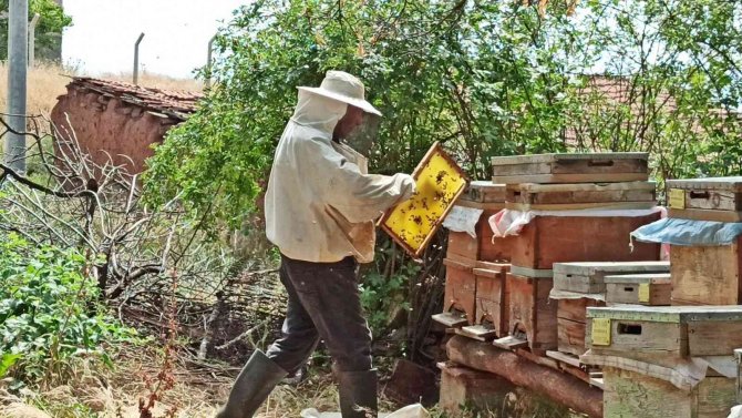 76 Yaşında Arı Gibi Çalışıyor, Gençlere Taş Çıkartıyor