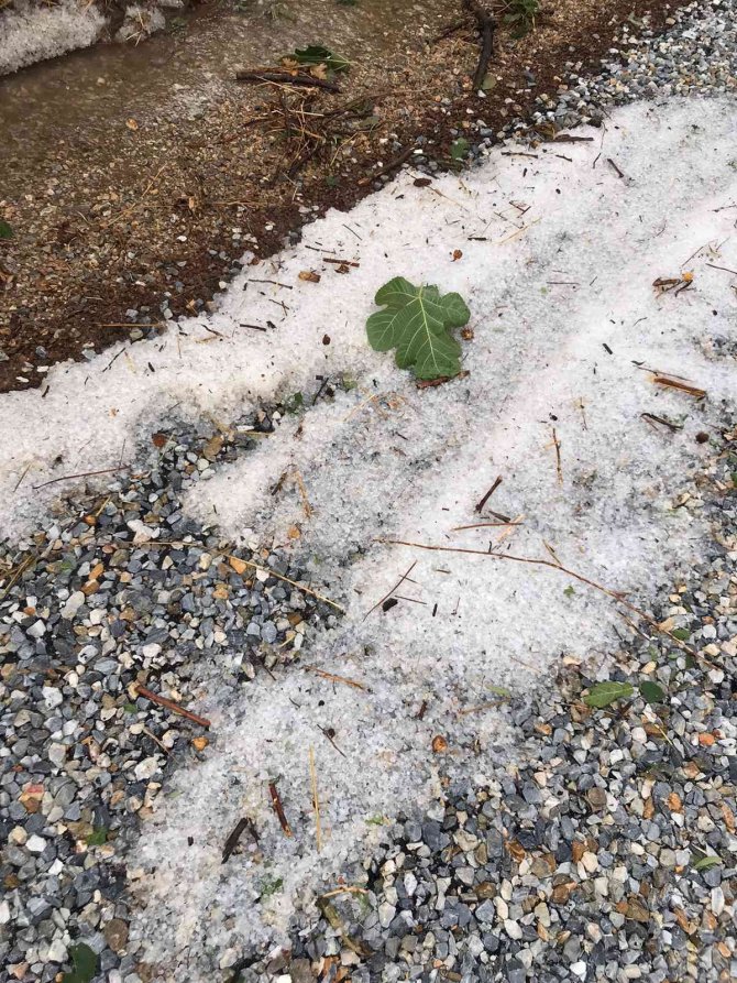 Manisa’da Şiddetli Yağış Ve Dolu Zarara Yol Açtı