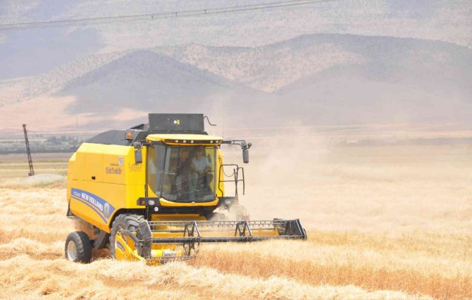 Mardin’de Sulu Tarım Arazilerinde Buğday Rekoltesi Sevindiriyor