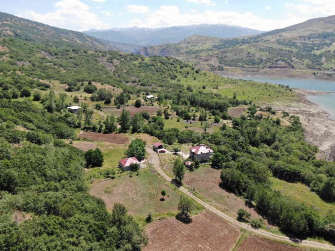 Muş’ta Terörden Temizlenen Köye 29 Yıl Sonra Enerji Nakil Hattı Çekildi