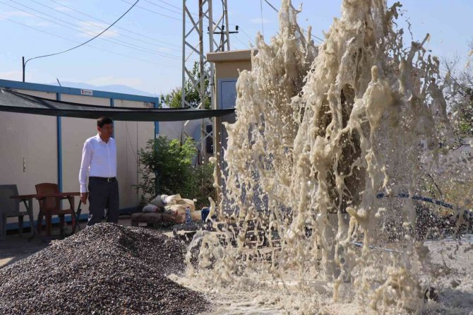 Nazilli Belediyesi, Tarımsal Üretim Yelpazesini Genişletiyor