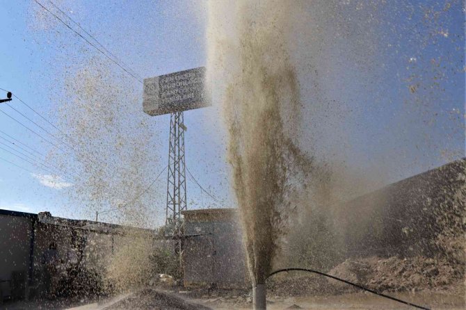 Nazilli Belediyesi, Tarımsal Üretim Yelpazesini Genişletiyor