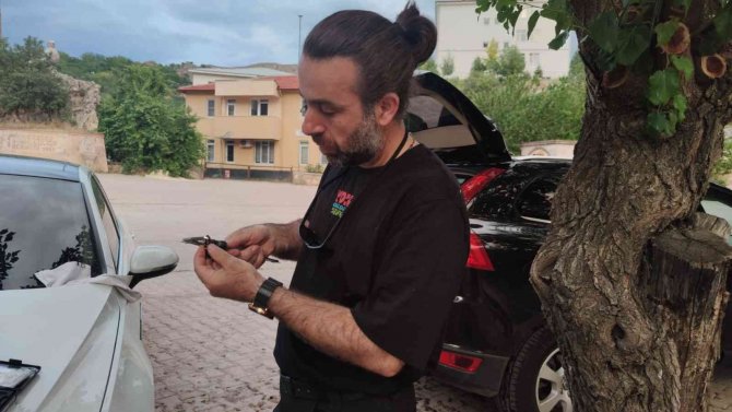 Ateş Semenderinin Popülasyonu İnceleniyor