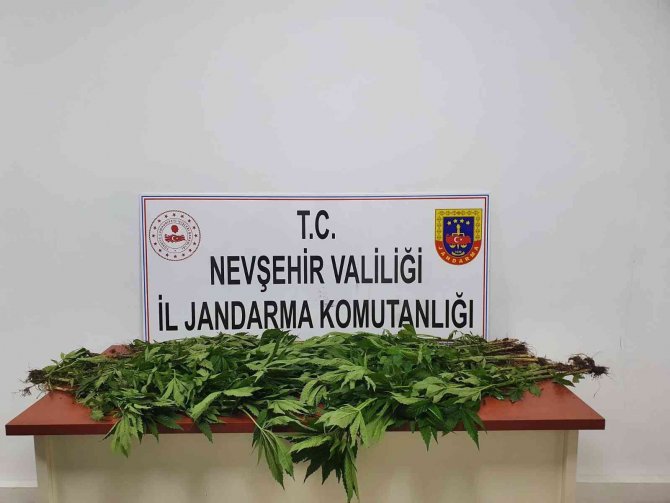 Nevşehir’de Uyuşturucu Operasyonu: 4 Gözaltı
