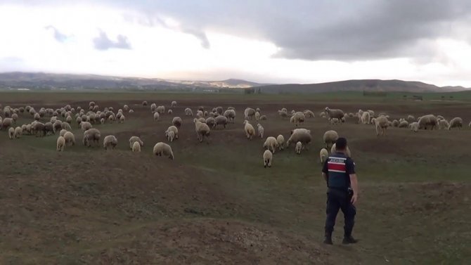 Halk Ozanı Jandarma İçin Besteledi, Jandarma İçin Söyledi