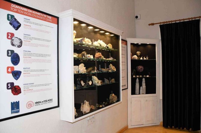 Tbk’den Mineral Ve Fosil Müzesi’ne ‘Doğa Tarihi’ Kategorisinde Ödül