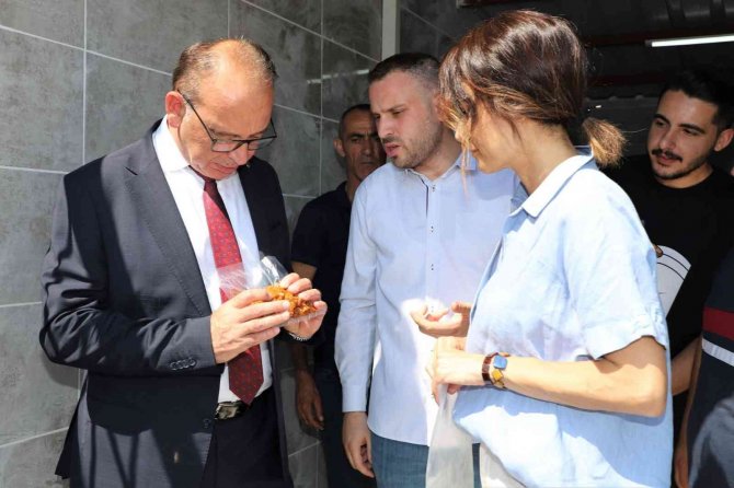 Atık Gıdalar Sokak Hayvanları İçin Mamaya Dönüşecek