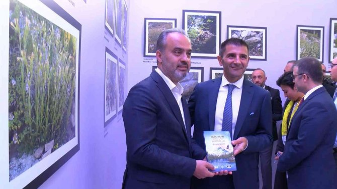 ’Erikli Korumamız Gerekli Sergisi’ Bursalılarla Buluştu