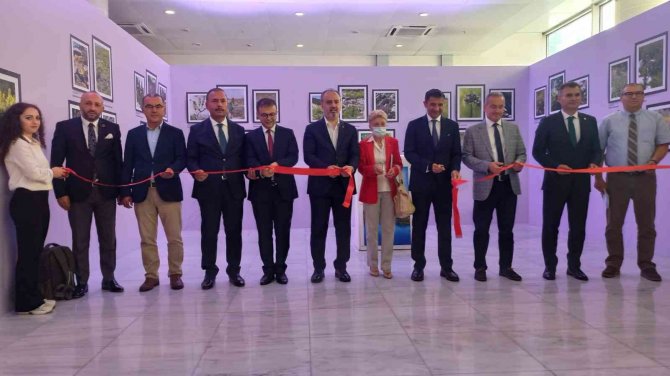 ’Erikli Korumamız Gerekli Sergisi’ Bursalılarla Buluştu