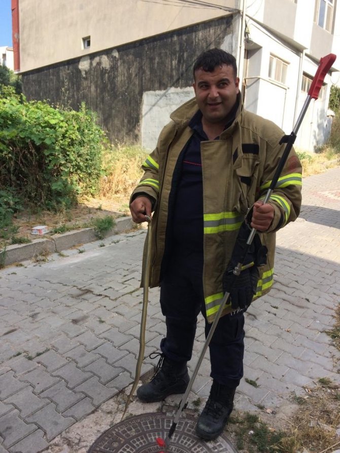 Bandırma’ Da Cadde Üzerinde Gezen Yılan İtfaiye Ekiplerince Yakalandı