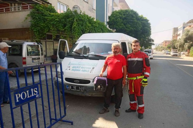 Kullanılmayan Dairede Mahsur Kalan Kediyi İtfaiye Kurtardı