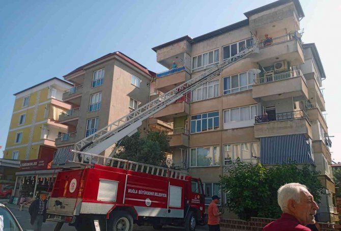 Kullanılmayan Dairede Mahsur Kalan Kediyi İtfaiye Kurtardı