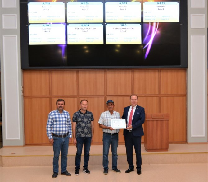 Yeni Mahsul Buğday Borsada