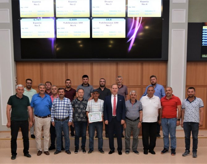 Yeni Mahsul Buğday Borsada