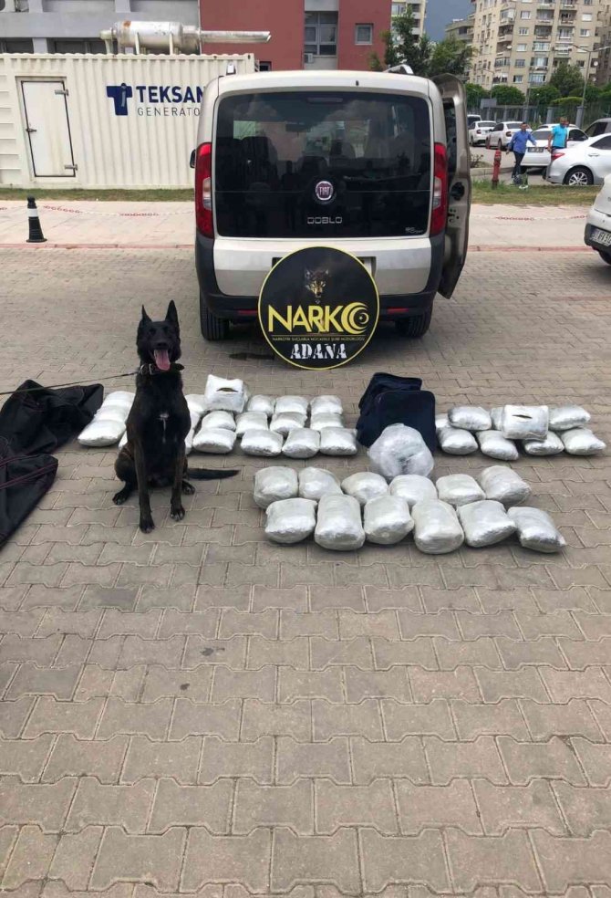 Adana’da 37 Kilo Esrar Ele Geçirildi