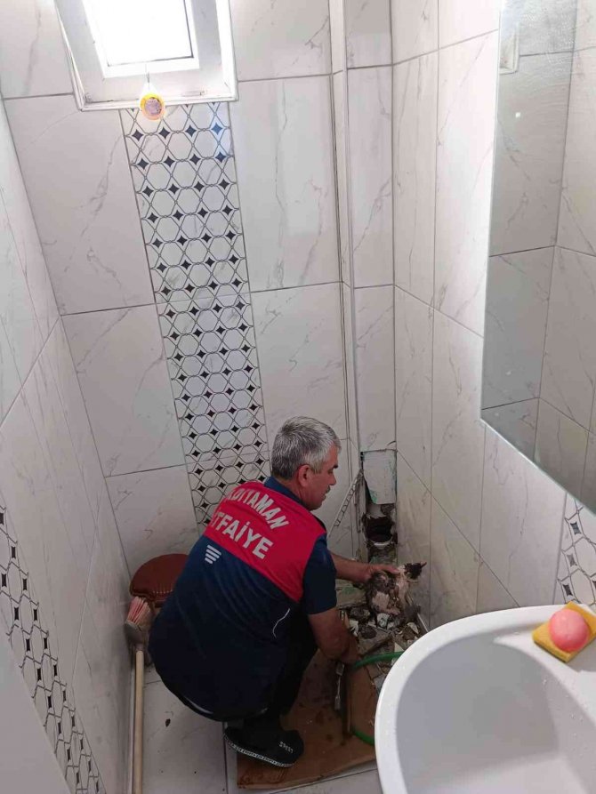Yavru Kedi Borudan Çıkartıldı