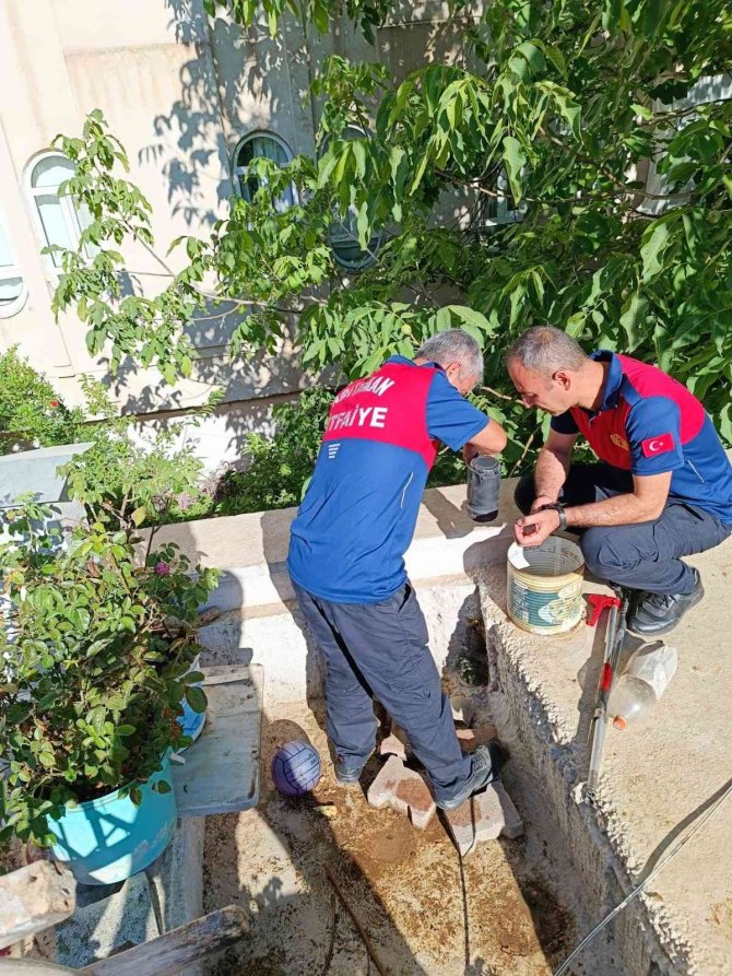 Yavru Kedi Borudan Çıkartıldı