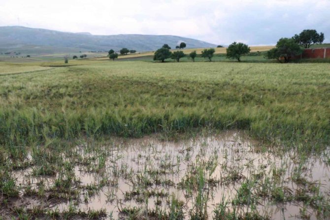 Sel Suları Tarım Arazilerini Sular Altında Bırakıp, Evlere Zarar Verdi