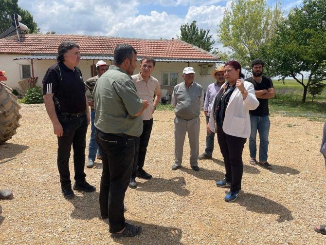 Ak Parti’li Ünsal: "Chp Siyasi Kurnazlık Yapıyor"