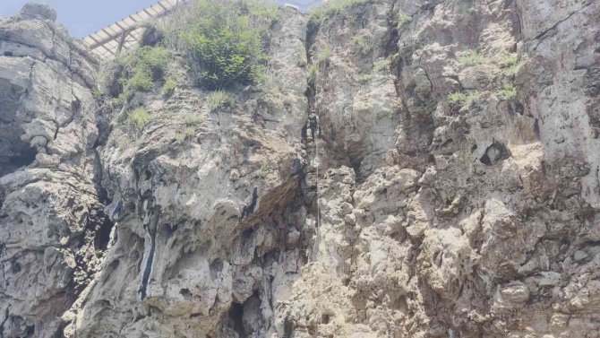 Antalya’da Falezlerde Nefes Kesen Kedi Kurtarma Operasyonu