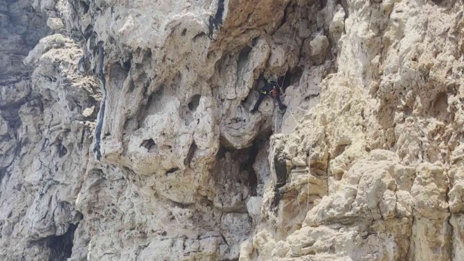 Antalya’da Falezlerde Nefes Kesen Kedi Kurtarma Operasyonu