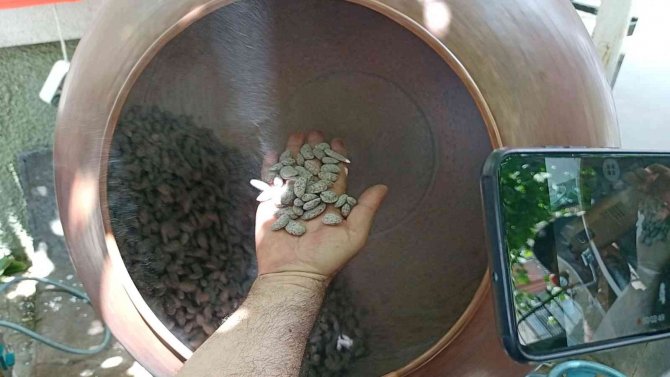 Di̇kkad’dan Çiftçilere Badem Şekeri Yapımı Eğitimi