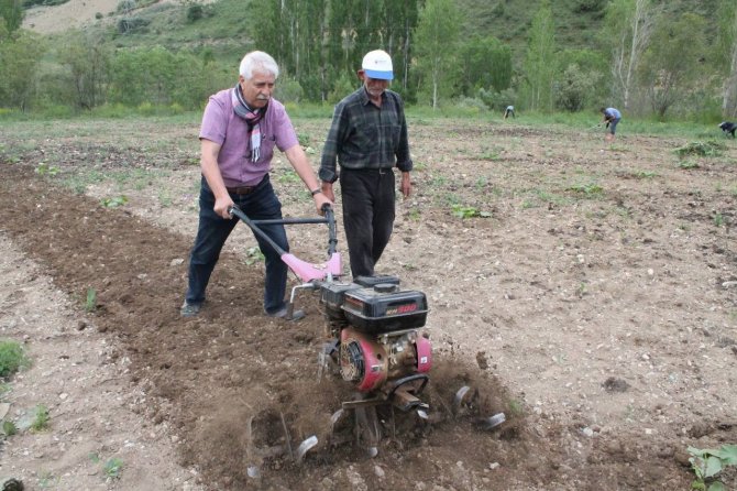 Bayburt’ta Öğrencilerle Birlikte Tarlada Çapalama Yapılarak Ata Tohumunun Önemi Anlatıldı