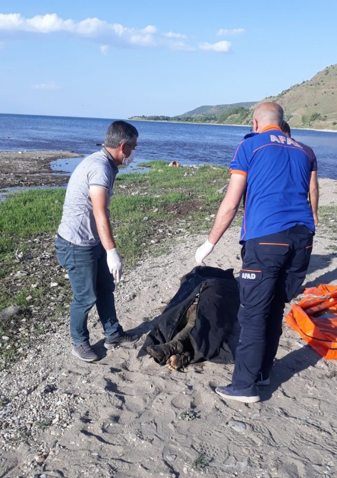 Van Gölü’nde Bulunan Cesedin Kimliği Belli Oldu
