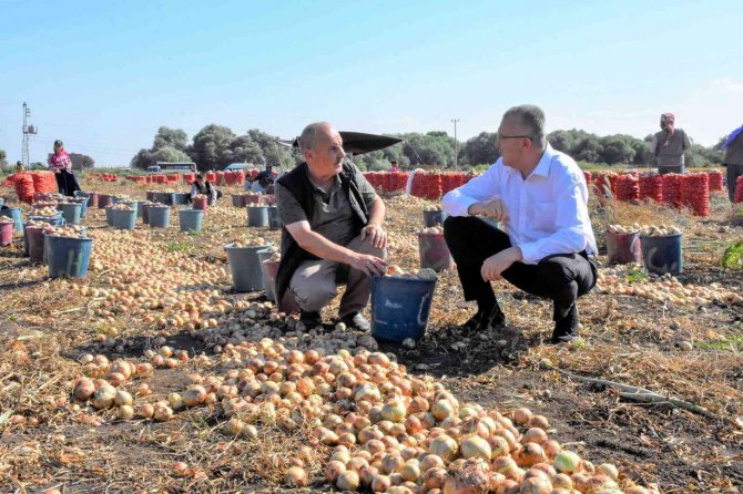 Karacabey’de Soğan Hasadı Bereketli Başladı