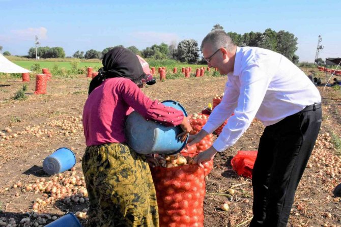 Karacabey’de Soğan Hasadı Bereketli Başladı