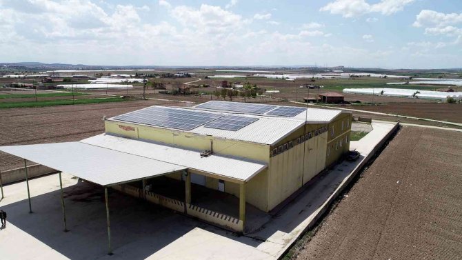 Soğuk Hava Deposu Da Temiz Enerji Üretmeye Başladı