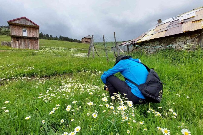 Gümüşhaneli Doğaseverler Altınpınar Gölünde Kamp Kurdu