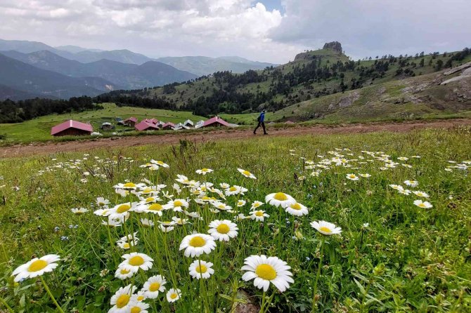 Gümüşhaneli Doğaseverler Altınpınar Gölünde Kamp Kurdu