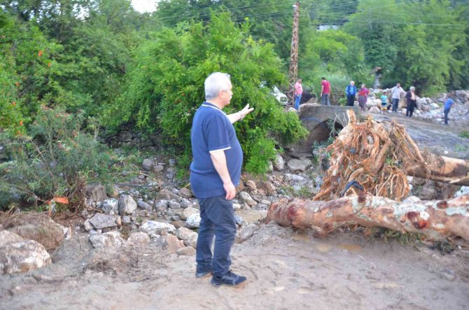 Kozan’da Selin İzleri Siliniyor