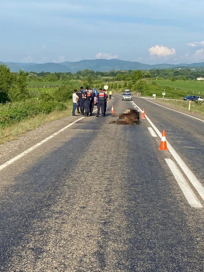 Aniden Otomobilin Önüne Çıkan İnek Telef Oldu