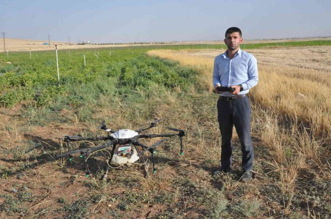 Mardin Ovası’nda 20 Bin Dönüm Arazi Dron İle İlaçlandı: 2 Milyon 800 Bin Liralık Tasarruf